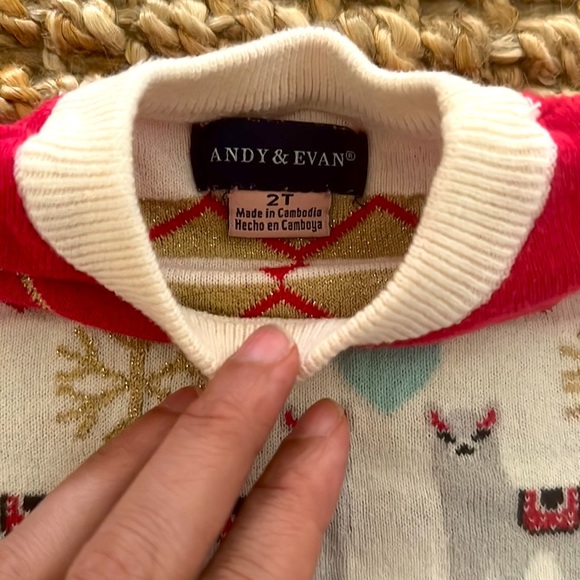 Andy and Evan winter sweater - Picture 3 of 3